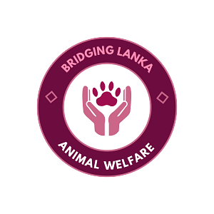 Animal Welfare